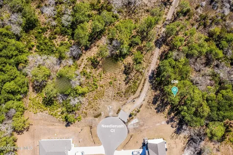 606 Needlerush Court Sneads Ferry NC 28460