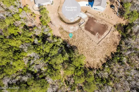 164 Evergreen Forest Court Sneads Ferry NC 28460