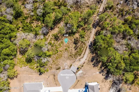 608 Needlerush Court Sneads Ferry NC 28460