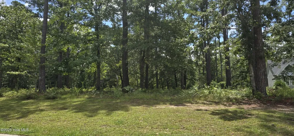 771 Cedarhurst Drive SE Bolivia NC 28422