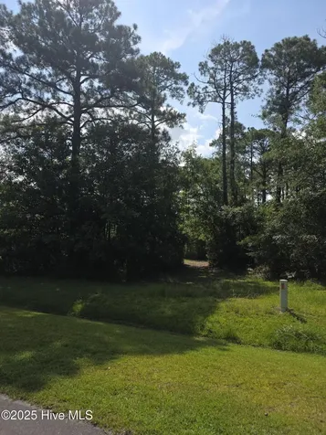 1208 Crows Nest Court New Bern NC 28560