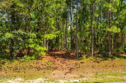 121-B Jarvis Landing Jarvisburg NC 27947