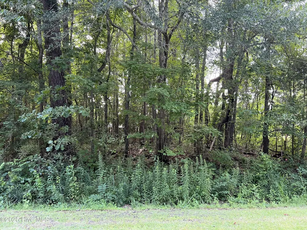 104 Colony Drive Edenton NC 27932