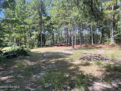 161 & 195 Ellington Drive Raeford NC 28376
