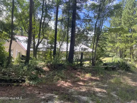 161 & 195 Ellington Drive Raeford NC 28376