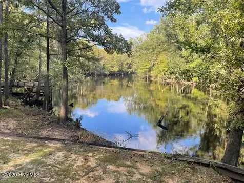 301 Natures Way Ivanhoe NC 28447