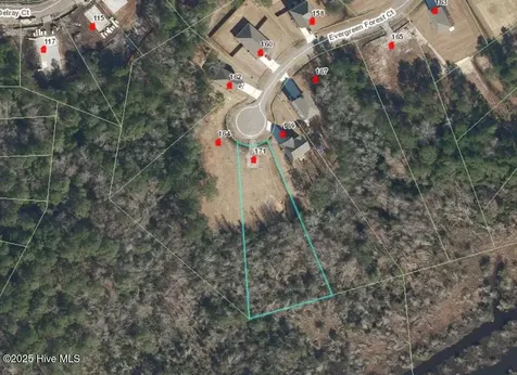 171 Evergreen Forest Court Sneads Ferry NC 28460