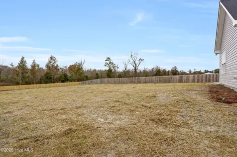 20 Peach Court Burgaw NC 28425