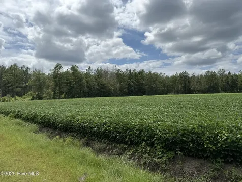0 Sr 1954 Blounts Creek NC 27814