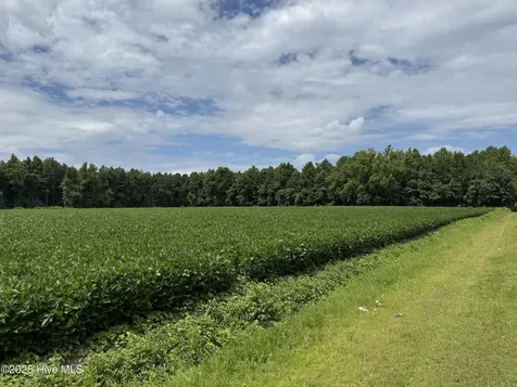 0 Sr 1954 Blounts Creek NC 27814