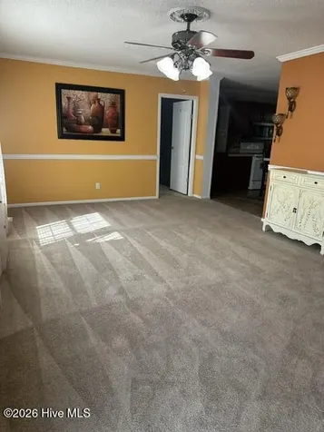 811 Low Ground Road Enfield NC 27823