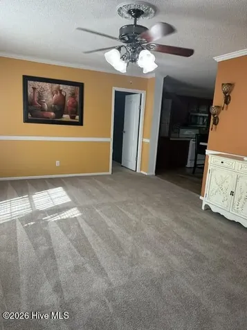 811 Low Ground Road Enfield NC 27823