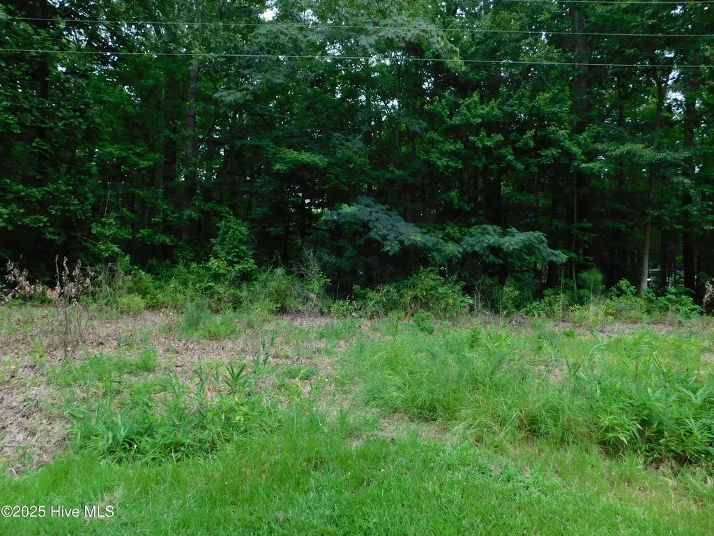 93 Tranquility Lane Hertford NC 27944