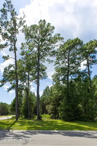 1559 N Bimini Road Shallotte NC 28470