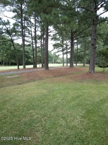 12 Stono Circle Hertford NC 27944