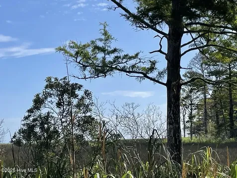 239 Garbacon Drive Beaufort NC 28516