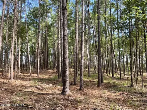 237 Garbacon Drive Beaufort NC 28516