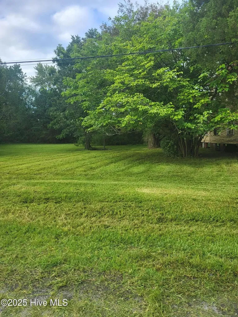 1 Lot N/s Pungo Parcel #29832 Street Belhaven NC 27810