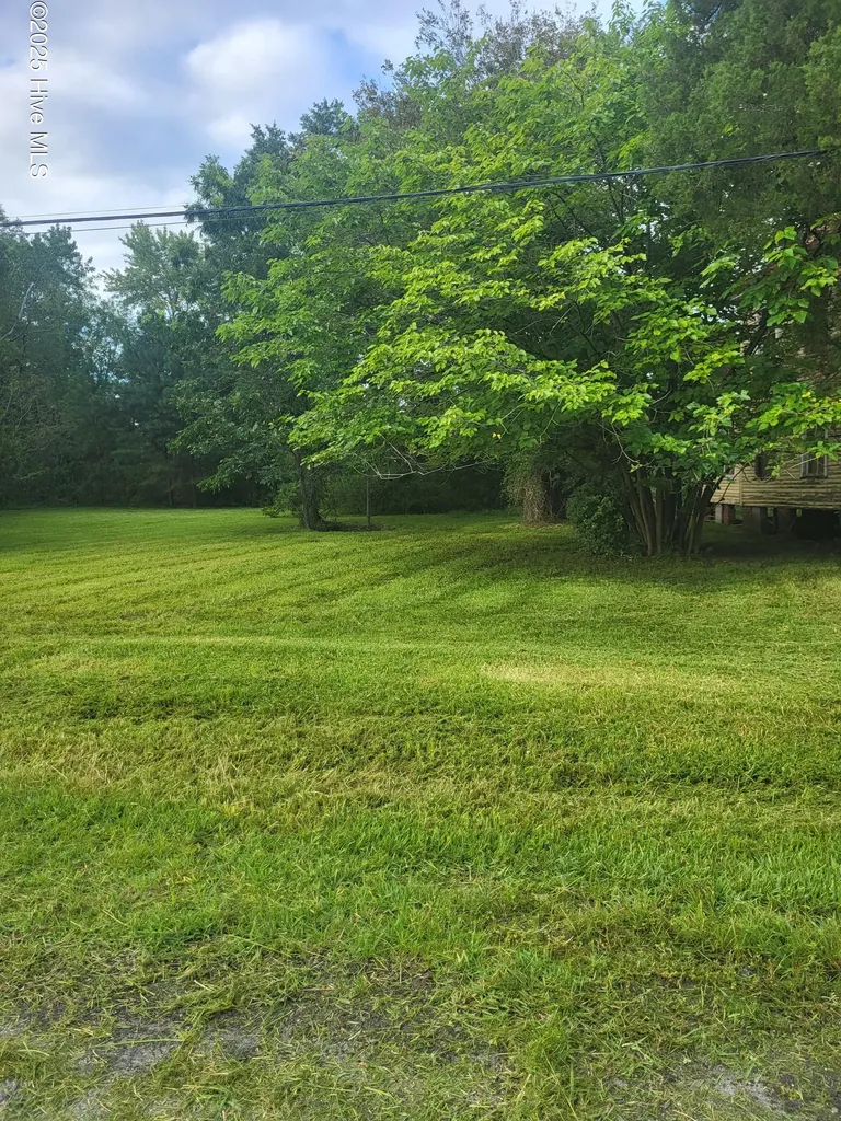 0 Pungo Street Belhaven NC 27810