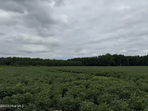 0 Sr 1932 Off Aurora NC 27806