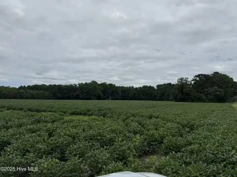 0 Sr 1932 Off Aurora NC 27806