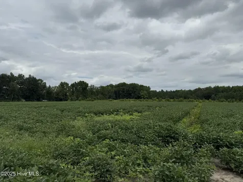 0 Sr 1932 Off Aurora NC 27806