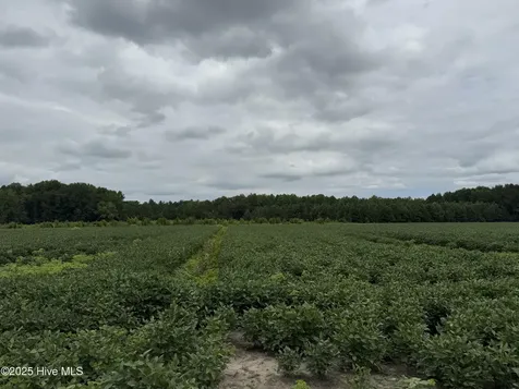 0 Sr 1932 Off Aurora NC 27806
