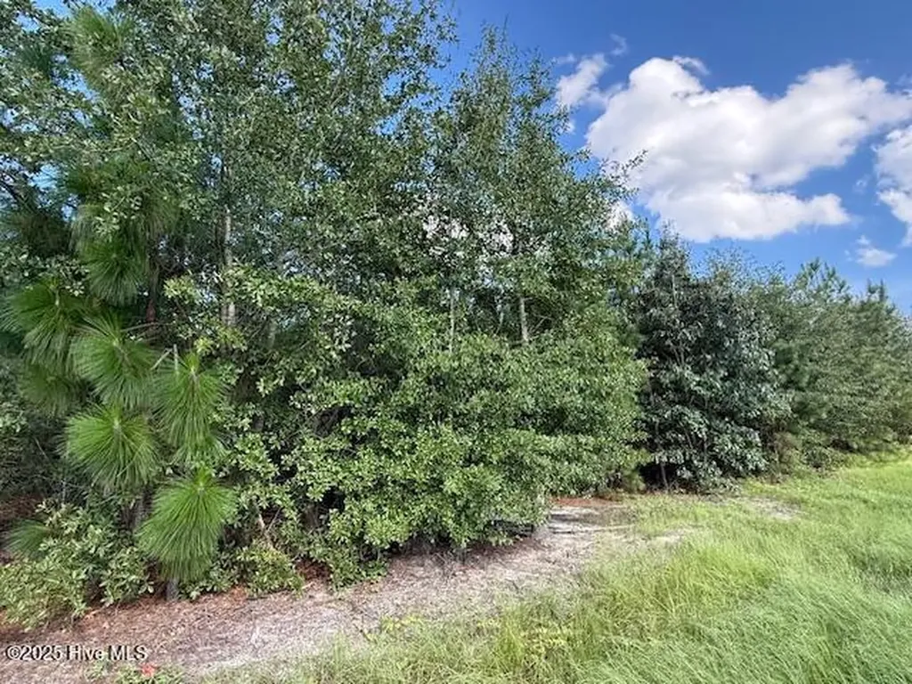 Tbd Johns Road Laurinburg NC 28352