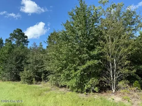 Tbd Johns Road Laurinburg NC 28352