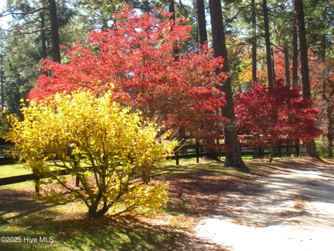 292 Bump A Long Lane Southern Pines NC 28387