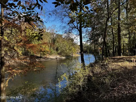 9 Mallard Roost Drive Burgaw NC 28425