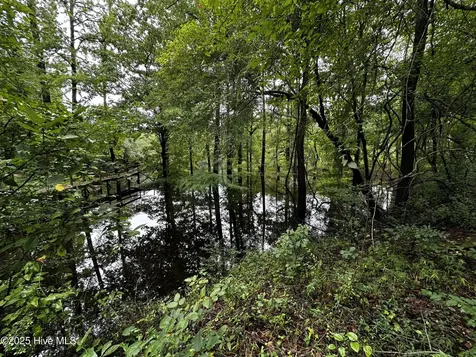 9 Mallard Roost Drive Burgaw NC 28425