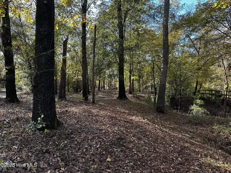 9 Mallard Roost Drive Burgaw NC 28425