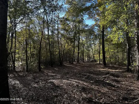 9 Mallard Roost Drive Burgaw NC 28425