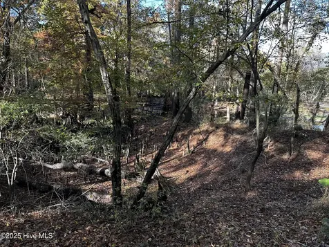 9 Mallard Roost Drive Burgaw NC 28425