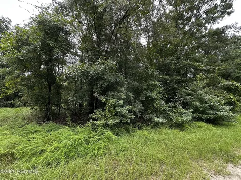 9 Mallard Roost Drive Burgaw NC 28425