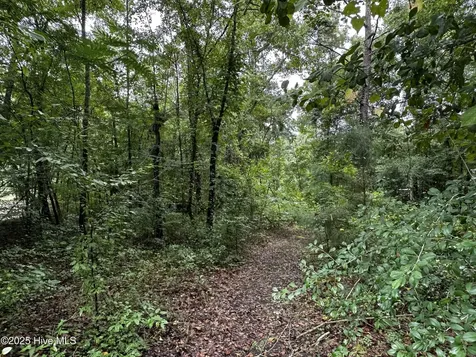 9 Mallard Roost Drive Burgaw NC 28425