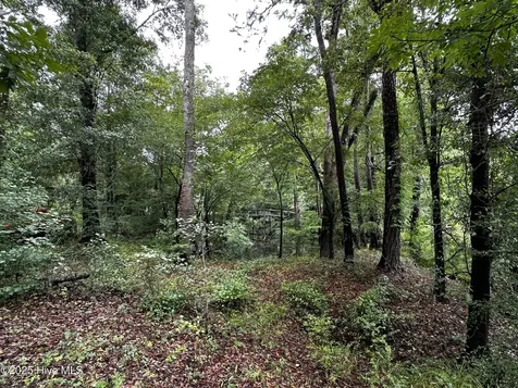 9 Mallard Roost Drive Burgaw NC 28425