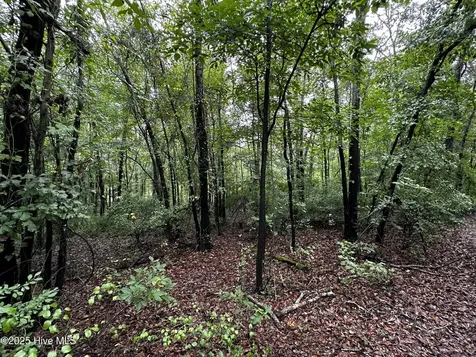 9 Mallard Roost Drive Burgaw NC 28425