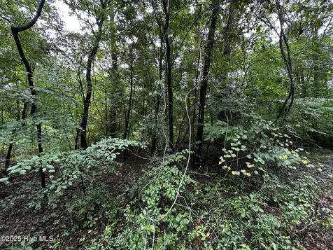 9 Mallard Roost Drive Burgaw NC 28425