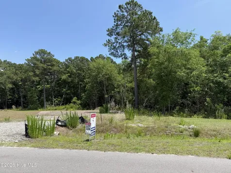 311 Royal Eagle Court Sneads Ferry NC 28460