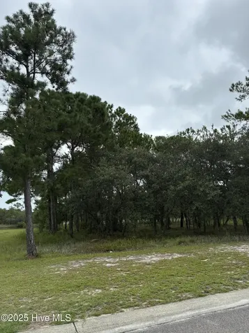 544 Bendigo Passage Court SE Bolivia NC 28422