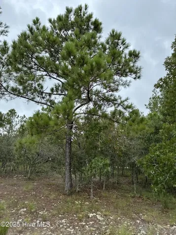 544 Bendigo Passage Court SE Bolivia NC 28422