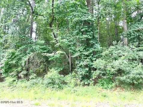 107 Briarwood Court Tarboro NC 27886