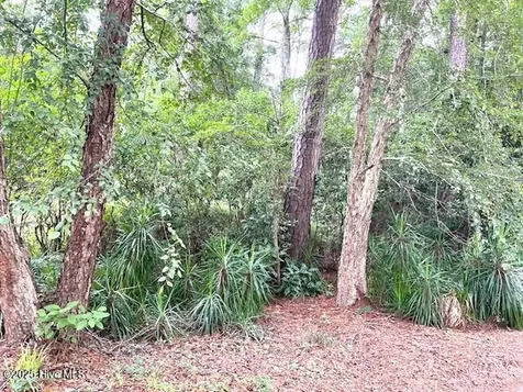 109 Briarwood Court Tarboro NC 27886
