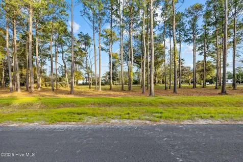 103 Indian Trail Beaufort NC 28516