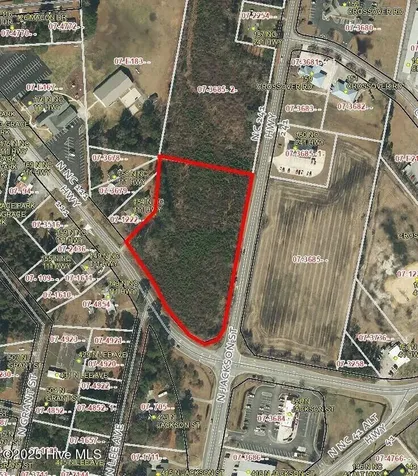 111 241 Highway Beulaville NC 28518