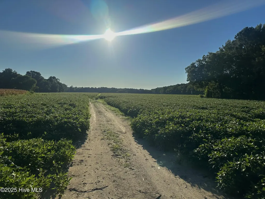 5355 Creech Road Lucama NC 27851
