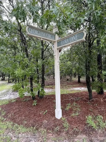 3022 Georgiana Circle SE Bolivia NC 28422