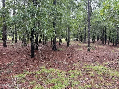3022 Georgiana Circle SE Bolivia NC 28422